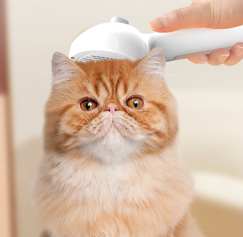 Self-Cleaning Pet Grooming Brush with Mist