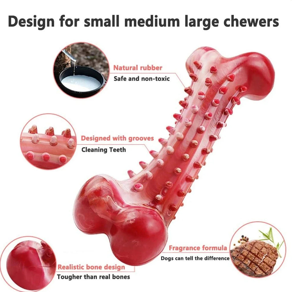 Durable Rubber Chew Toy for Aggressive Chewers