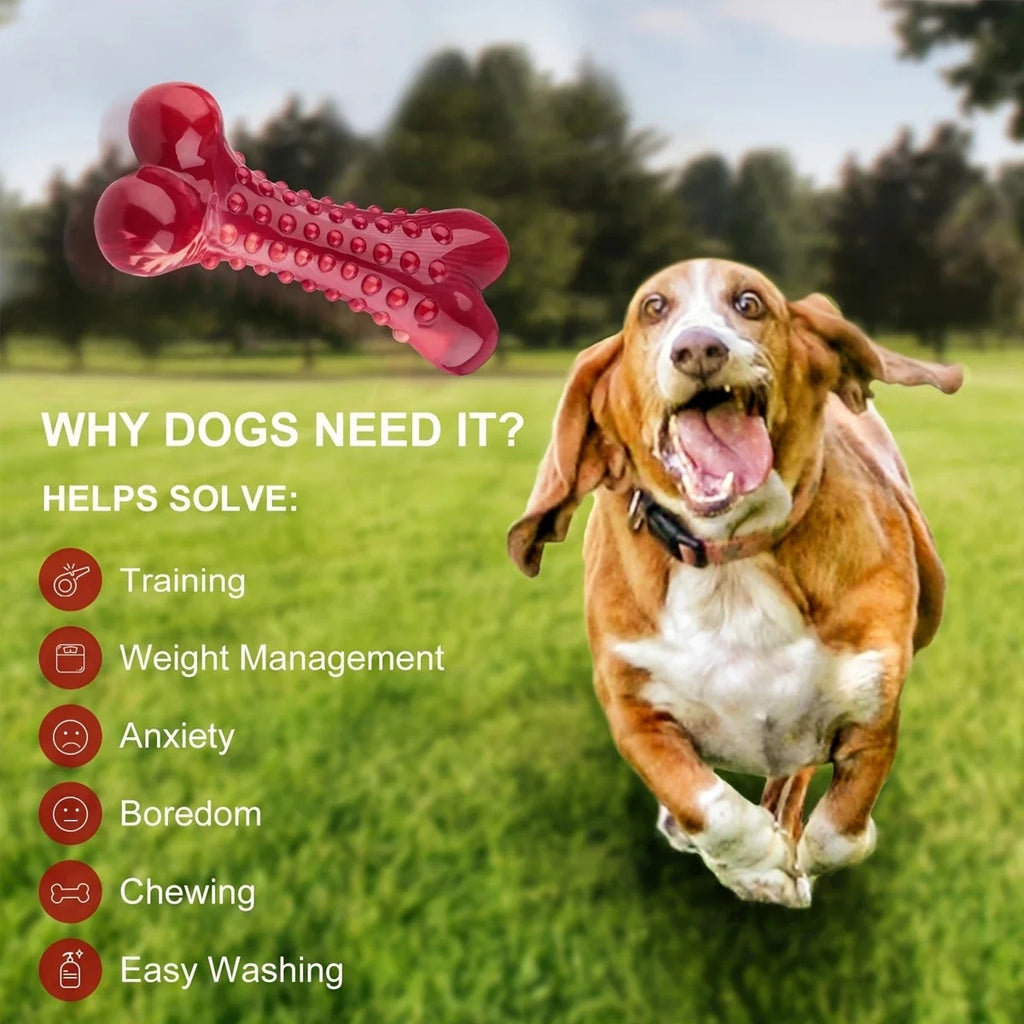 Durable Rubber Chew Toy for Aggressive Chewers