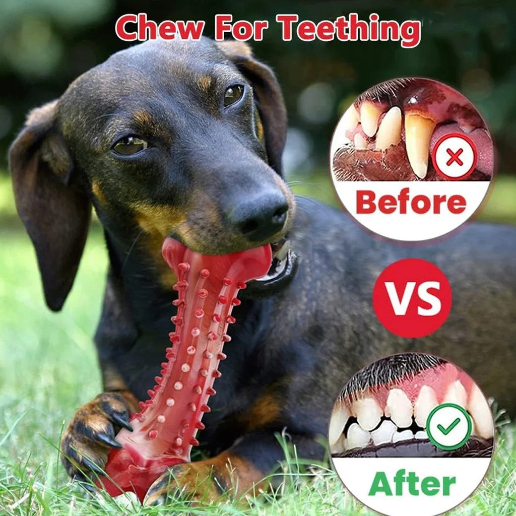 Durable Rubber Chew Toy for Aggressive Chewers