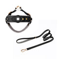 Dog Harness with AirTag Holder