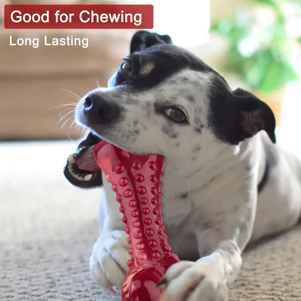 Durable Rubber Chew Toy for Aggressive Chewers