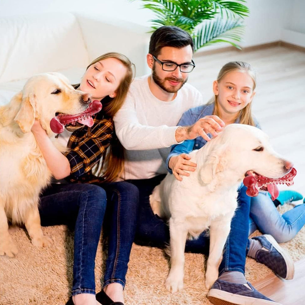 Durable Rubber Chew Toy for Aggressive Chewers