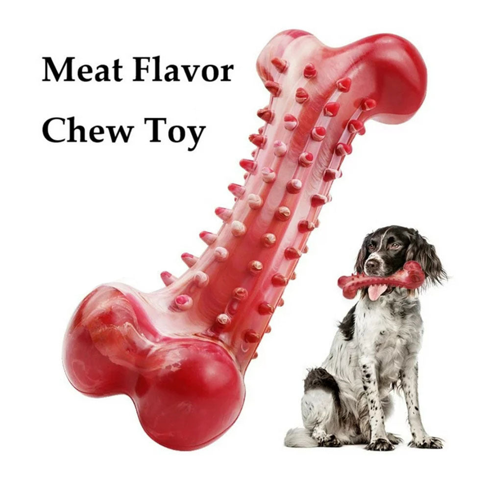 Durable Rubber Chew Toy for Aggressive Chewers