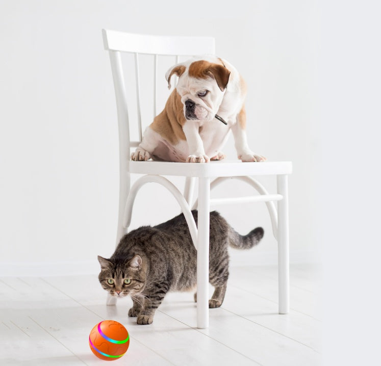 Smart Self-Rotating Cat Ball Toy