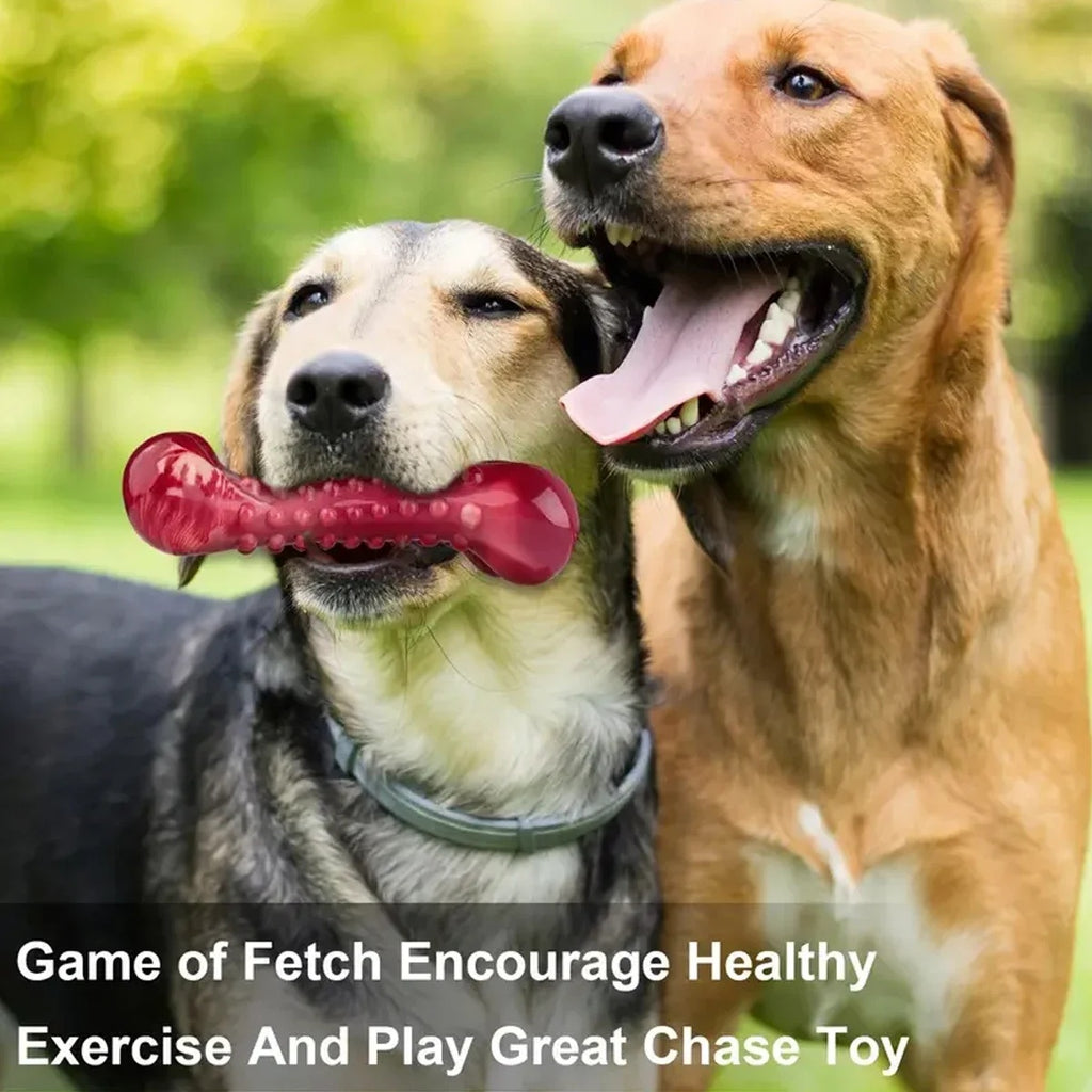 Durable Rubber Chew Toy for Aggressive Chewers
